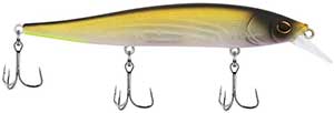 Berkley Stunna 112