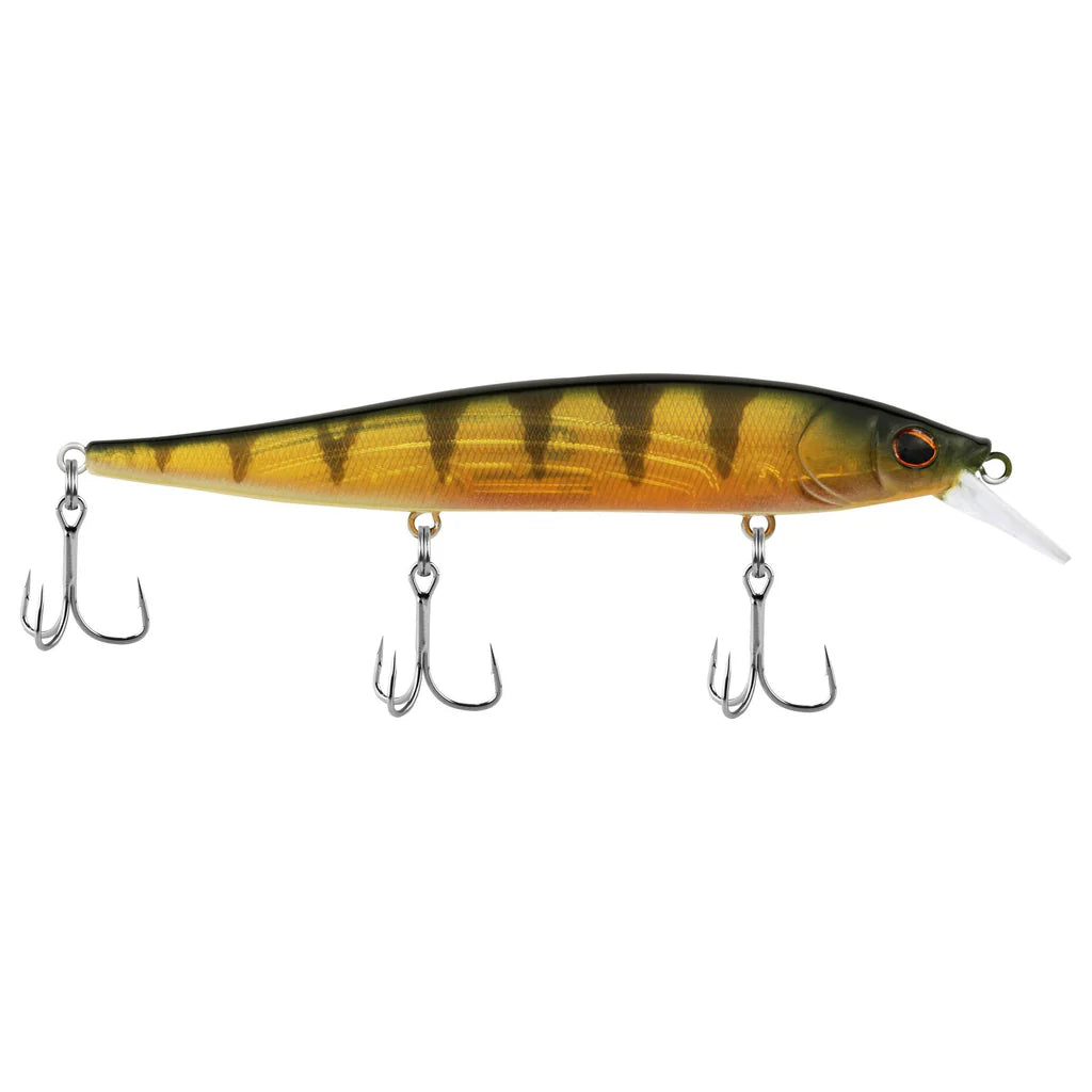 Berkley Stunna 100