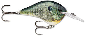 Rapala DT Crankbait 4 to 6