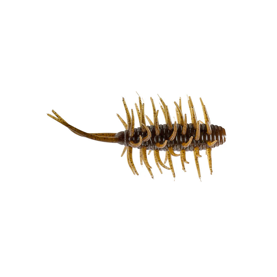 Hideup Coike Shrimp