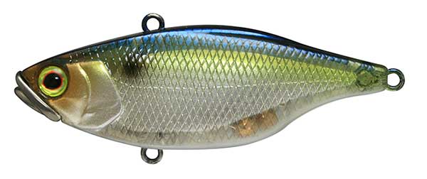 Jackall Tn Lipless
