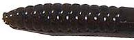Zoom Finesse 4.5''