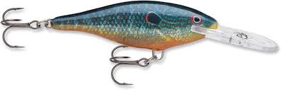 Rapala Shad Rap