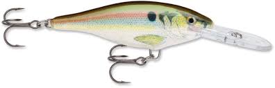 Rapala Shad Rap