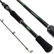Shimano Curado Spinning