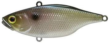 Jackall Tn Lipless