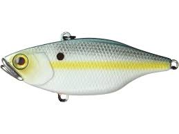 Jackall Tn Lipless