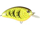 SPRO Little John