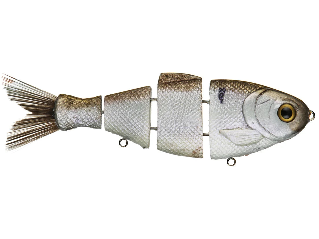 Mike Bucca Bull Shad