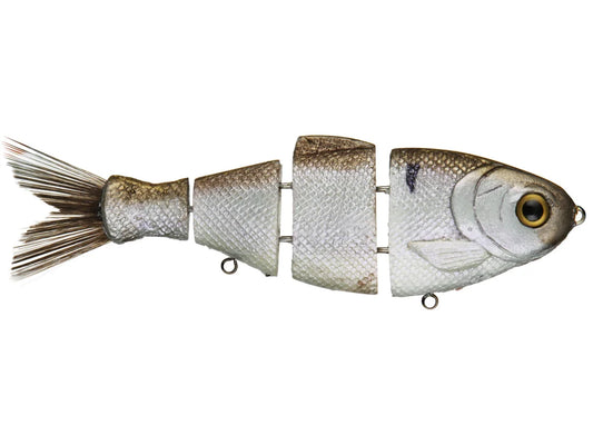 Mike Bucca Bull Shad