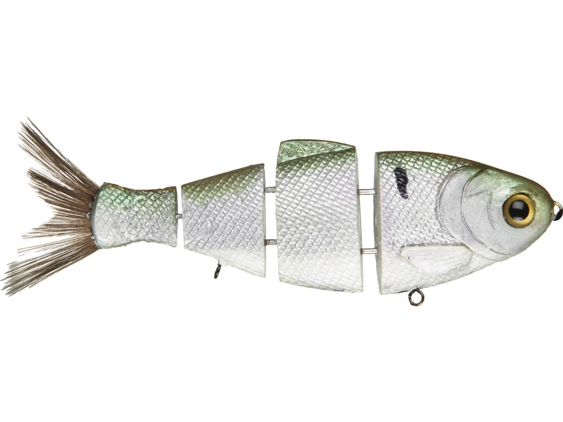 Mike Bucca Bull Shad