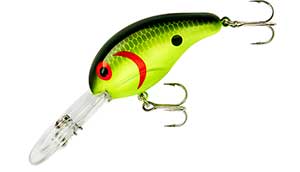 Bandit 300 Series 