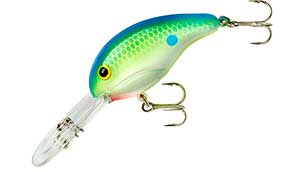 Bandit 300 Series 