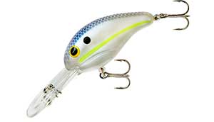 Bandit 300 Series 