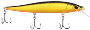 Berkley Stunna 112
