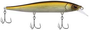 Berkley Stunna 112