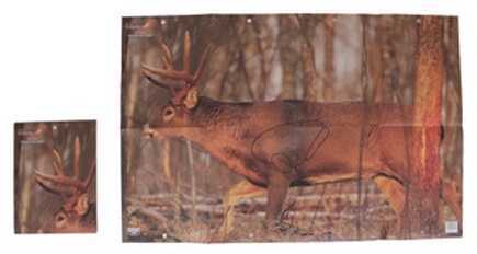 Birchwood Casey EZE Scorer Deer Target