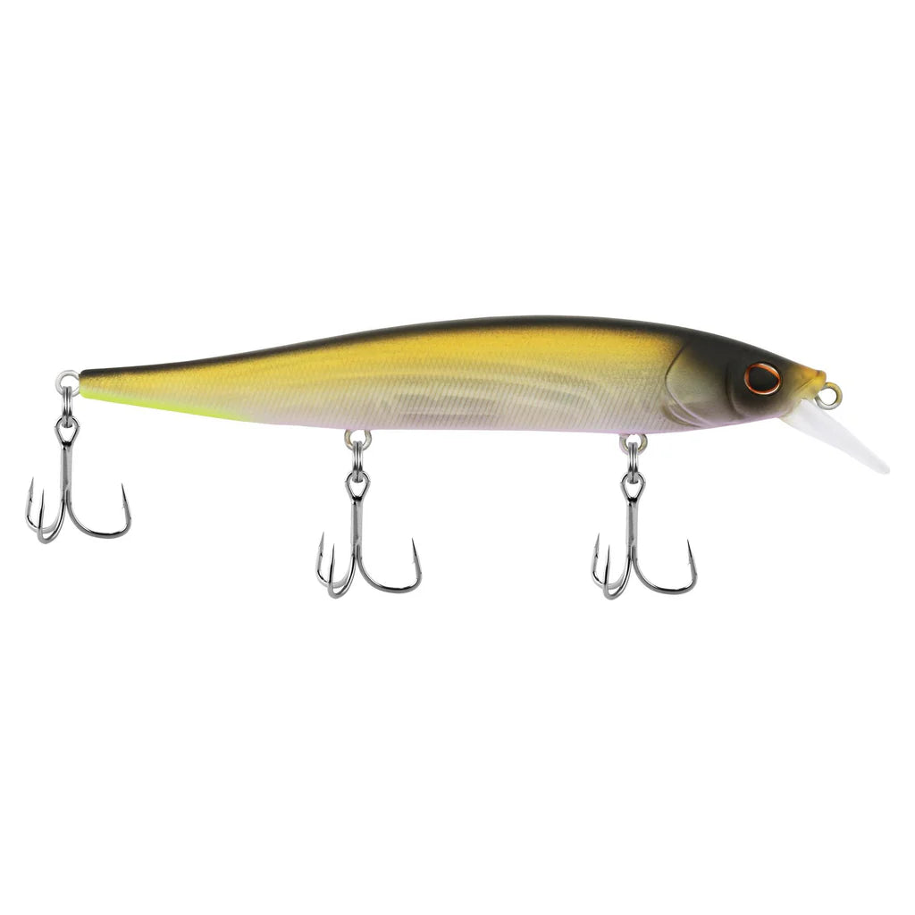 Berkley Stunna 100