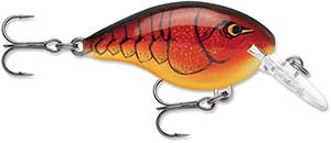 Rapala DT Crankbait 4 to 6