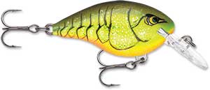 Rapala DT Crankbait 4 to 6