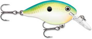 Rapala DT Crankbait 4 to 6