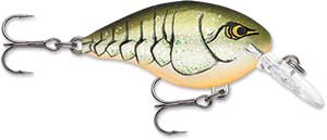 Rapala DT Crankbait 4 to 6