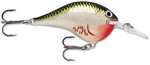Rapala DT Crankbait 4 to 6