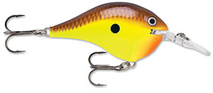Rapala DT Crankbait 4 to 6
