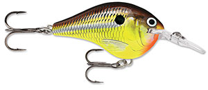 Rapala DT Crankbait 8 to 10