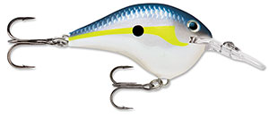 Rapala DT Crankbait 4 to 6