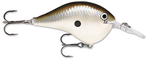 Rapala DT Crankbait 8 to 10