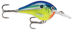 Rapala DT Crankbait 4 to 6