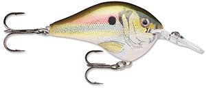 Rapala DT Crankbait 4 to 6