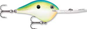 Rapala DT Crankbait 8 to 10