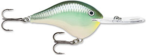 Rapala DT Crankbait 4 to 6