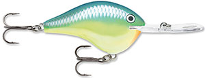 Rapala DT Crankbait 8 to 10