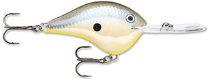 Rapala DT Crankbait 8 to 10