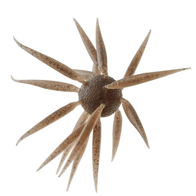 HideUp Coike Fish Elastomer L