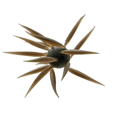 HideUp Coike Fish Elastomer L