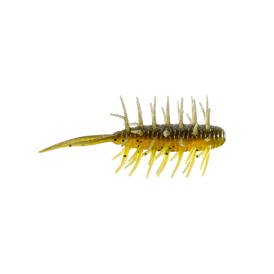 Hideup Coike Shrimp