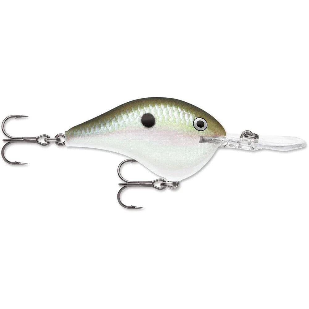 Rapala DT Crankbait 8 to 10