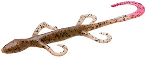 Zoom Lizard
