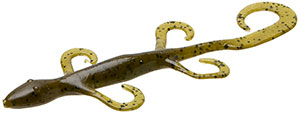 Zoom Lizard