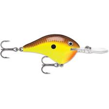 Rapala DT Crankbait 8 to 10
