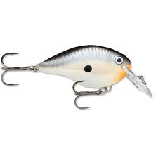 Rapala DT Crankbait 4 to 6