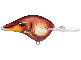 Rapala DT Crankbait 4 to 6