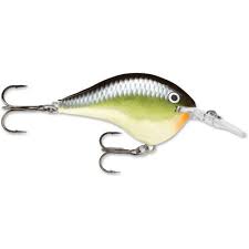 Rapala DT Crankbait 4 to 6