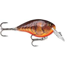 Rapala DT Crankbait 4 to 6