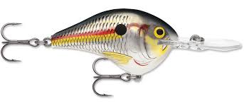 Rapala DT Crankbait 8 to 10