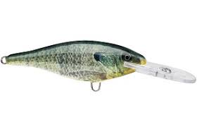 Rapala Shad Rap
